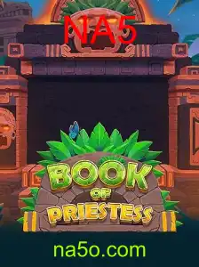 BookOfPriestess: Um Mergulho no Fascinante Mundo do Jogo